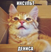 инсульт дениса