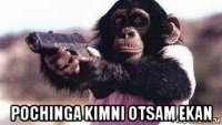  pochinga kimni otsam ekan