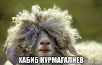  хабиб нурмагалиев