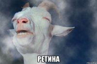  ретина