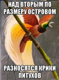 над вторым по размеру островом разносятся крики питухов