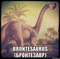  brontësaurus (бронтезавр)