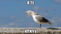 я те кричу