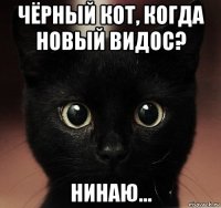 чёрный кот, когда новый видос? нинаю...