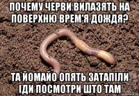 почему черви вилазять на поверхню врем'я дождя? та йомайо опять затапіли іди посмотри што там