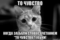 то чувство когда заебали словосочетанием "то чувство"! уебки!