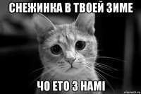 снежинка в твоей зиме чо ето з намi