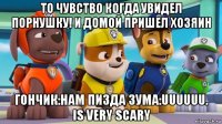 то чувство когда увидел порнушку! и домой пришел хозяин гончик:нам пизда зума:uuuuuu. is very scary