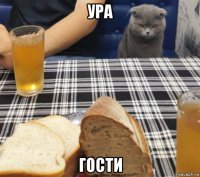 ура гости