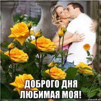  доброго дня любимая моя!