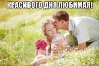 красивого дня любимая! 