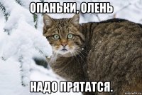опаньки, олень надо прятатся.