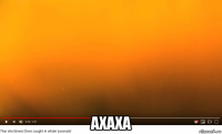  axaxa