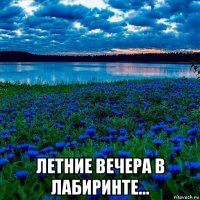  летние вечера в лабиринте...