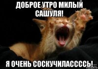 доброе утро милый сашуля! я очень соскучилассссь!