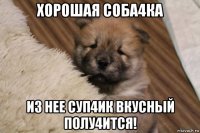хорошая соба4ка из нее суп4ик вкусный полу4ится!