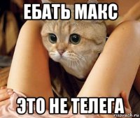 ебать макс это не телега