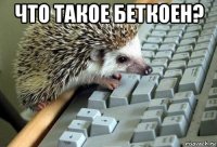 что такое беткоен? 