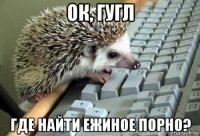 ок, гугл где найти ежиное порно?