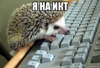 я на икт 