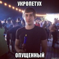 укропетух опущенный