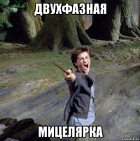 двухфазная мицелярка