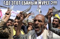 где этот ебаный мурег ?!!! 