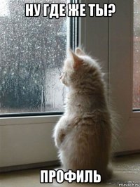 ну где же ты? профиль