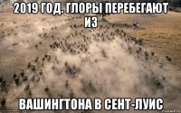 2019 год. глоры перебегают из вашингтона в сент-луис