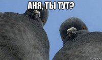 аня, ты тут? 