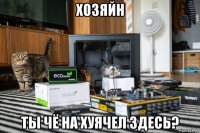хозяйн ты чё на хуячел здесь?
