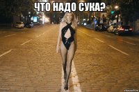 что надо сука? 