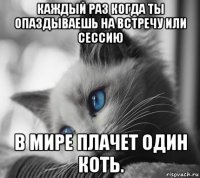 каждый раз когда ты опаздываешь на встречу или сессию в мире плачет один коть.