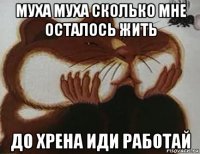 муха муха сколько мне осталось жить до хрена иди работай
