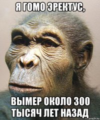 я гомо эректус, вымер около 300 тысяч лет назад