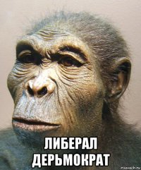  либерал дерьмократ