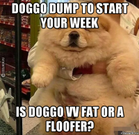 doggo dump to start your week is doggo vv fat or a floofer?