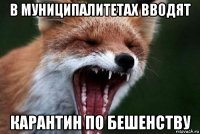 в муниципалитетах вводят карантин по бешенству