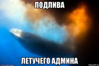 подлива летучего админа