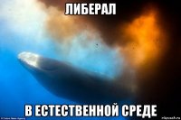 либерал в естественной среде