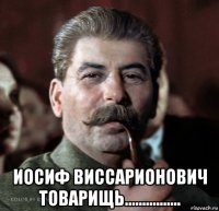  иосиф виссарионович товарищь................