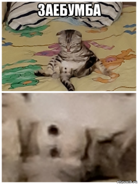 заебумба 