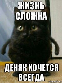 жизнь сложна деняк хочется всегда