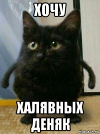 хочу халявных деняк