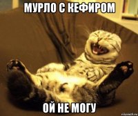 мурло с кефиром ой не могу
