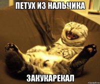 петух из нальчика закукарекал