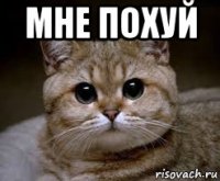 мне похуй 