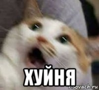 хуйня