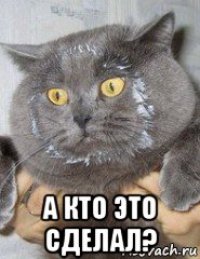  а кто это сделал?