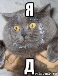 я д
